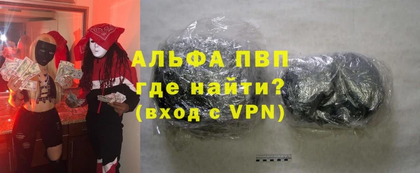 прущие грибы Верхний Тагил