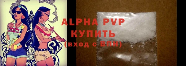прущие грибы Верхний Тагил