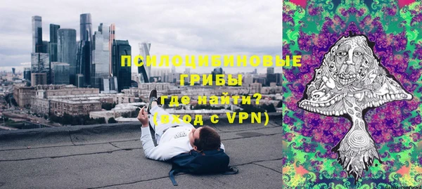 прущие грибы Верхний Тагил