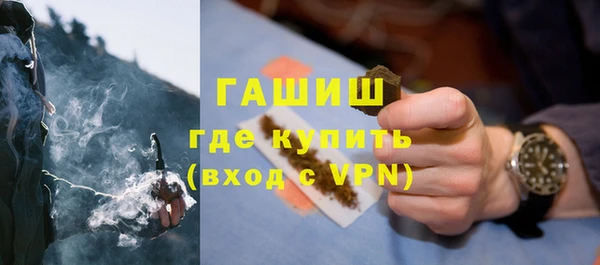 прущие грибы Верхний Тагил