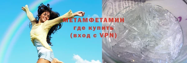 прущие грибы Верхний Тагил