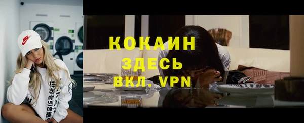 прущие грибы Верхний Тагил