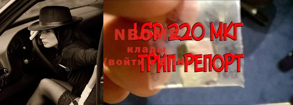 прущие грибы Верхний Тагил