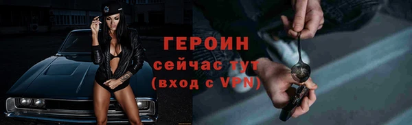 прущие грибы Верхний Тагил