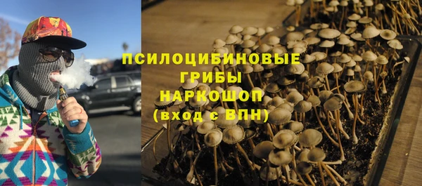 спайс Верея