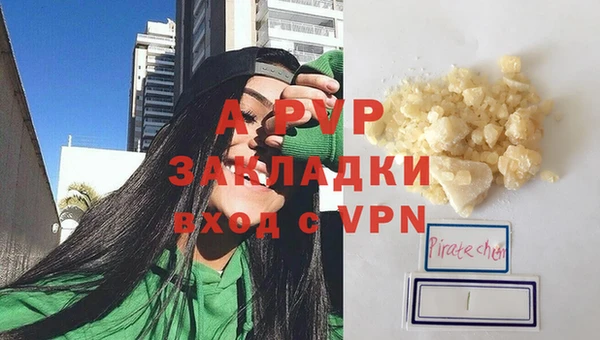 спайс Верея