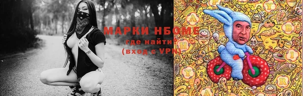 прущие грибы Верхний Тагил