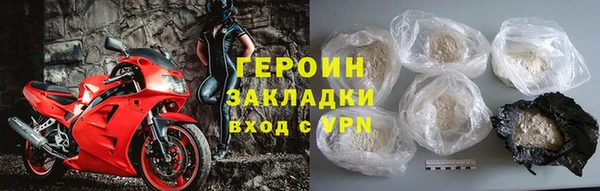 прущие грибы Верхний Тагил