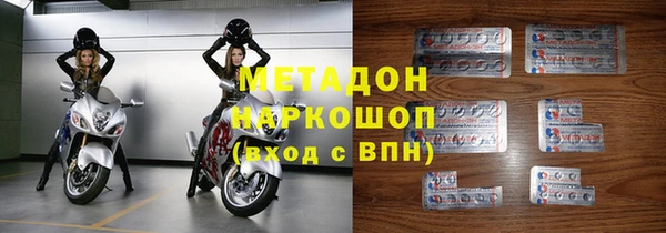 прущие грибы Верхний Тагил