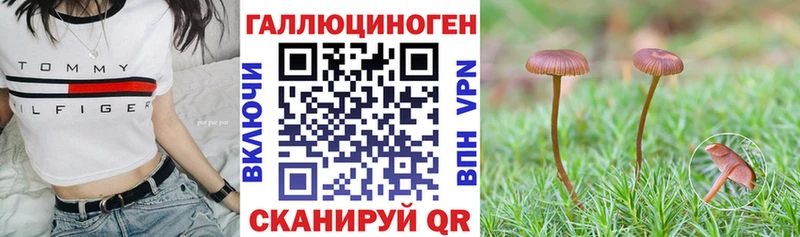 Купить  Губкинский  Галлюциногенные грибы мухоморы 