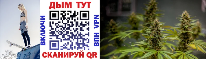 Купить закладки  Губкинский  Конопля VHQ 